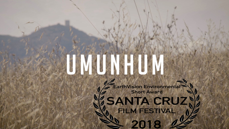 Award-Earthvision Short.jpg